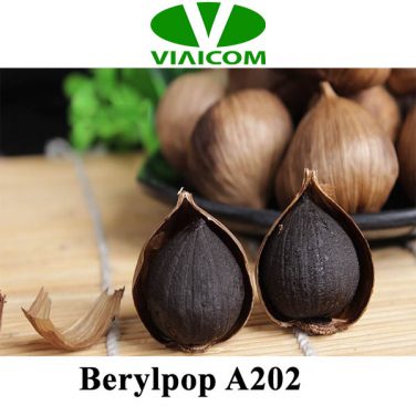 Berylpop A202